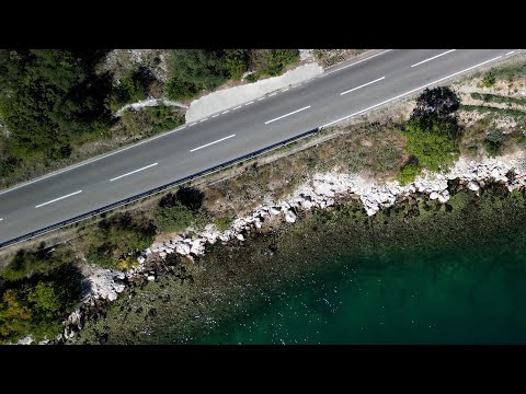 Otpad ugrožava zajednice zlatnih korala