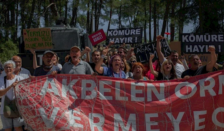 Turski ekolozi spasavaju šumu od rudarske kompanije