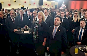 Elektroprivreda pomagala i za jelke i lampice