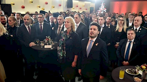 Elektroprivreda pomagala i za jelke i lampice