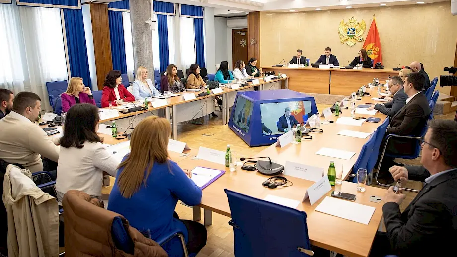 Konsultativno saslušanje povodom peticiji "Pravo na senzor – pravo na život". Foto: Skupština Crne Gore