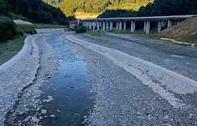 Krivolov i eksploatacija šljunka ugrožavaju Taru