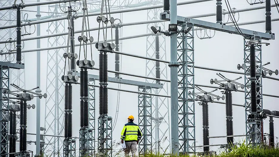 Elektroprivreda Srbije nadoknađuje troškove povlašćenih proizvođača električne energije. Foto: ems.rs