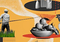 Albanija i dalje koristi zabranjene pesticide