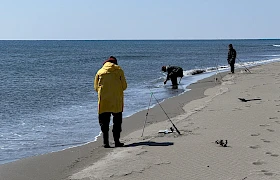 Vlada i privatne firme posjeduju četvrtinu zaleđa Velike plaže