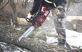 Predlažu moratorijum na sječu šuma