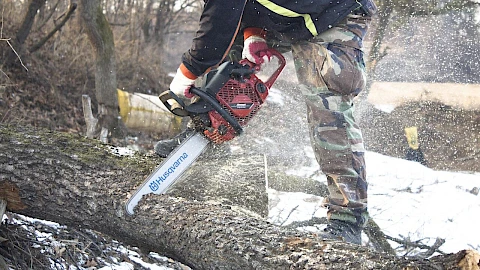 Predlažu moratorijum na sječu šuma