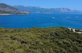Država ignoriše gradnju u Parku prirode Platamuni