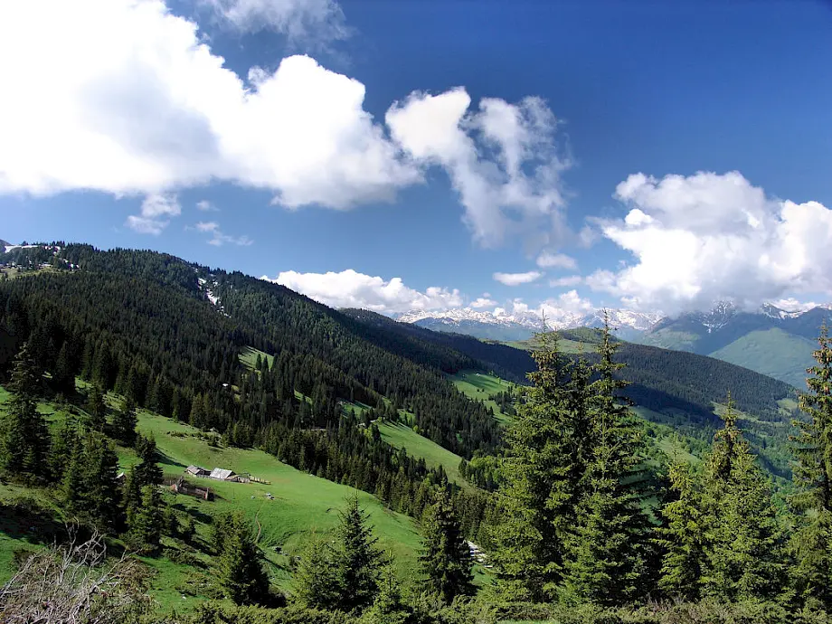 Pogranično područje između Crne Gore i Kosova. Foto: BIRN/Serbeze Haxhiaj